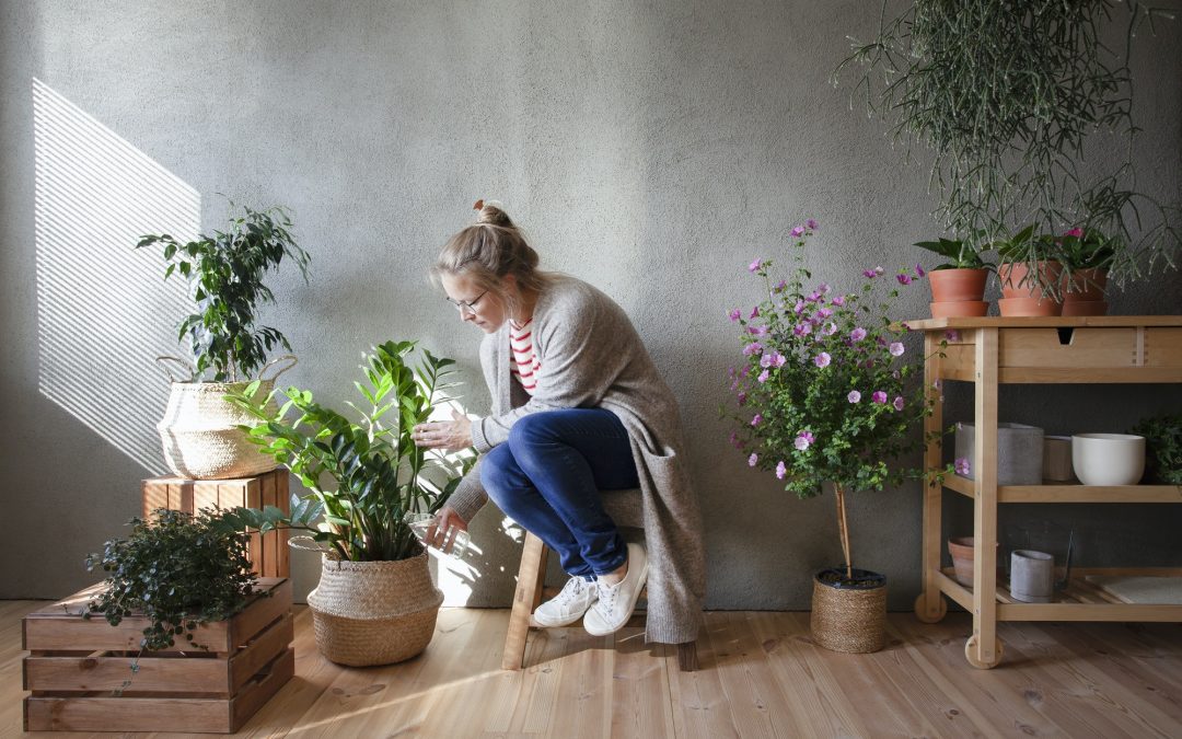 From Air Quality to Aesthetics: The Comprehensive Advantages of Indoor Gardening